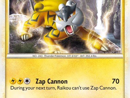 Raikou (HGSS19) [HeartGold & SoulSilver: Black Star Promos] Fashion